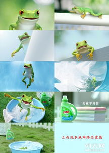 廣州番禺企業(yè)宣傳片與三維動(dòng)畫展示，為何騰視文化動(dòng)漫制作備受青睞？